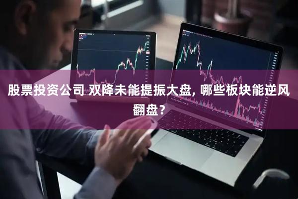 股票投资公司 双降未能提振大盘, 哪些板块能逆风翻盘？